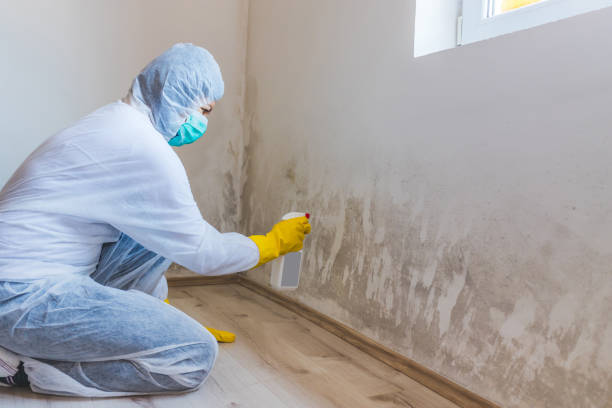Hvac And Air Duct Mold Remediation inspection of HVAC system in Anna