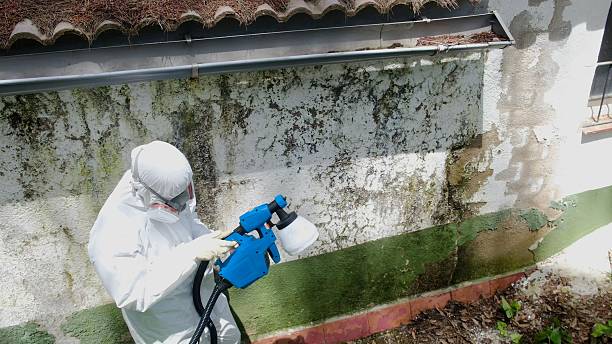 Mold Remediation service in Anna, Anna, TX